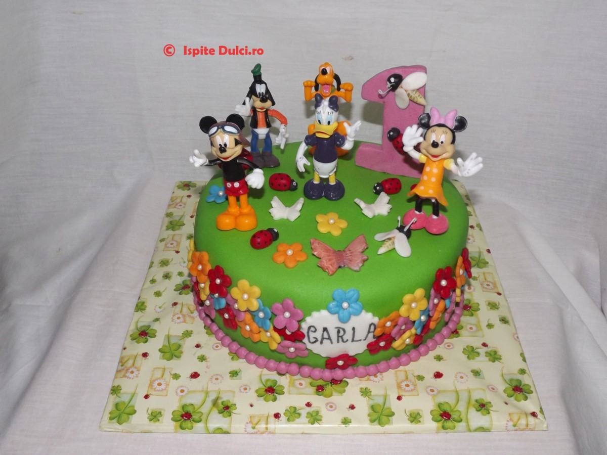 Tort 1 an vesel