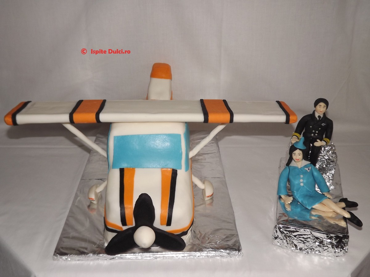 Tort avion