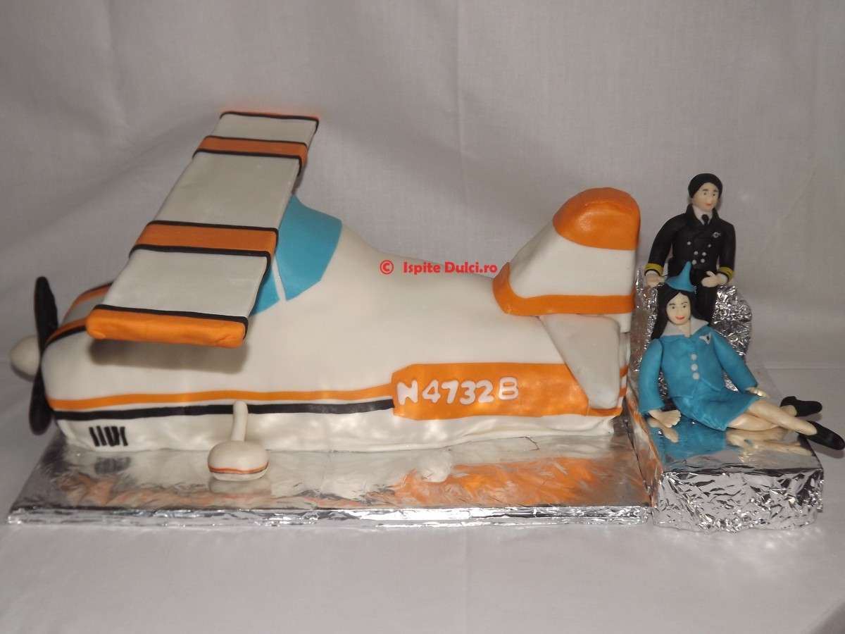 Tort avion