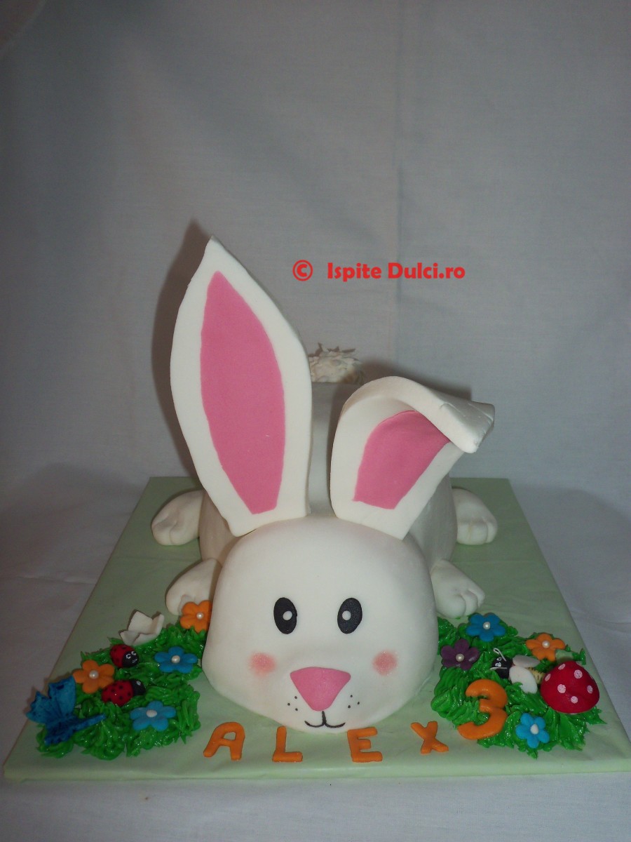 Tort iepuras