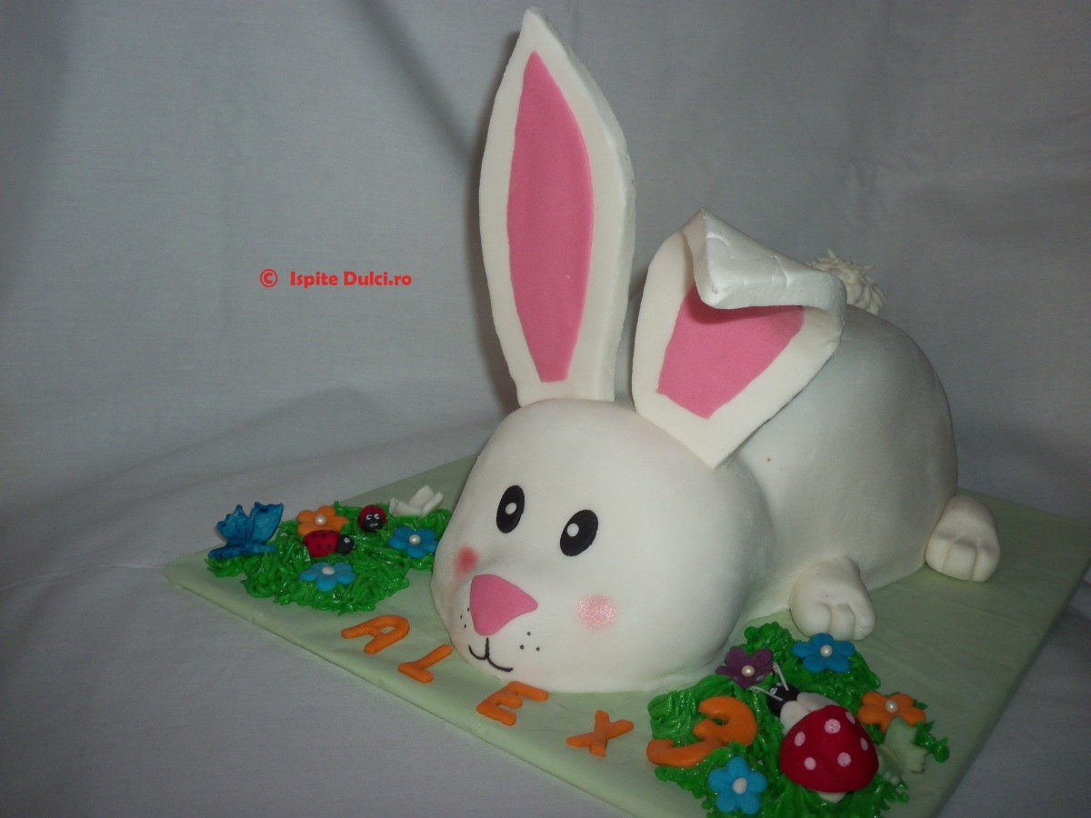 Tort iepuras