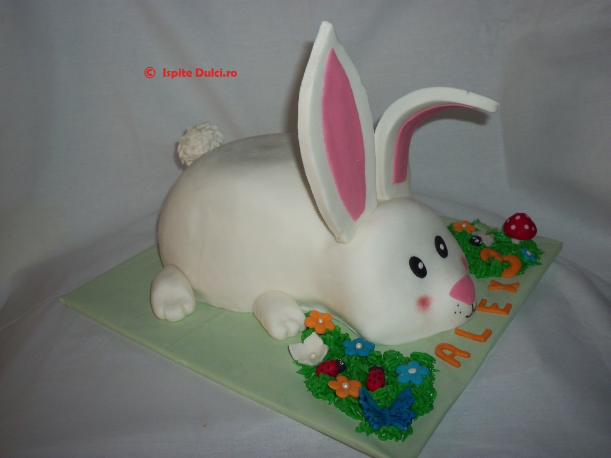 Tort iepuras