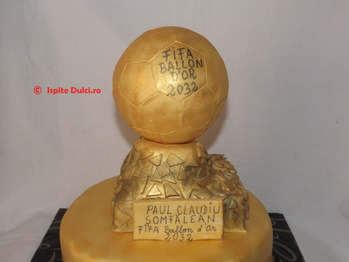 Tort Fifa Ballon D`or