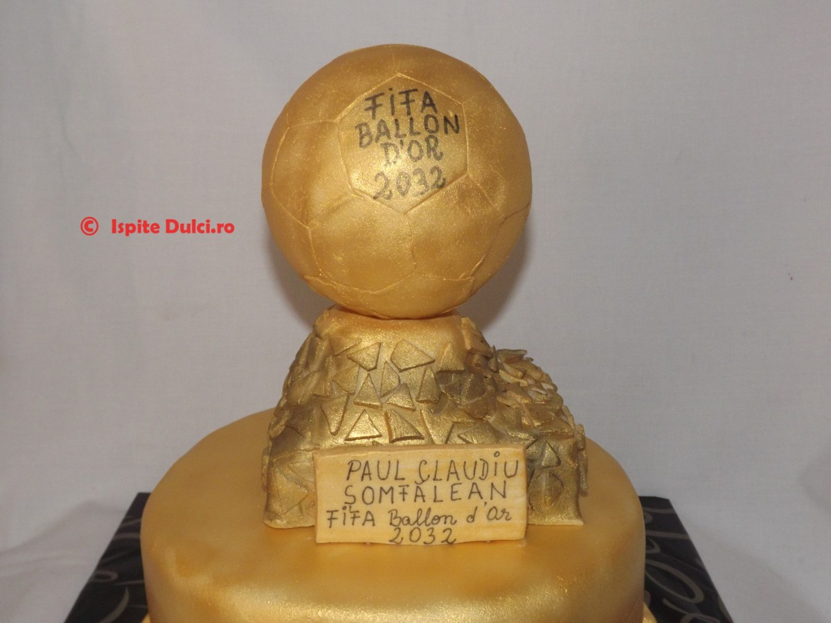 Tort Fifa Ballon D`or
