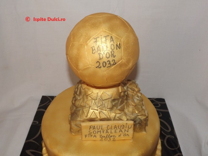 Tort Fifa Ballon D`or