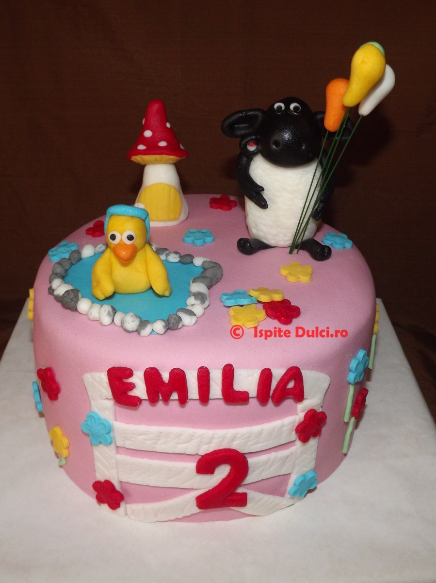 Tort cu oita Timmy pentru Emilia