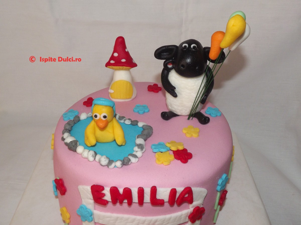 Tort cu oita Timmy pentru Emilia