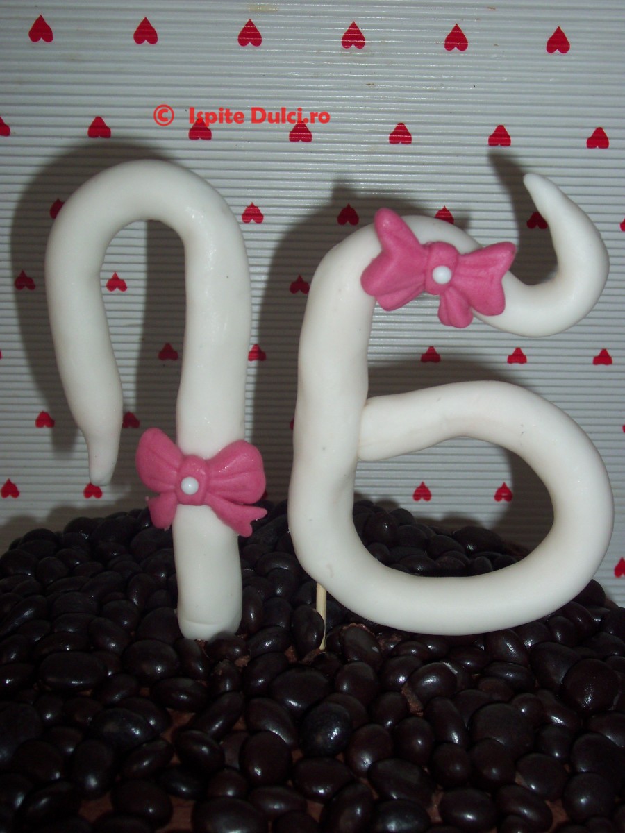 Tort Sandra 16 ani