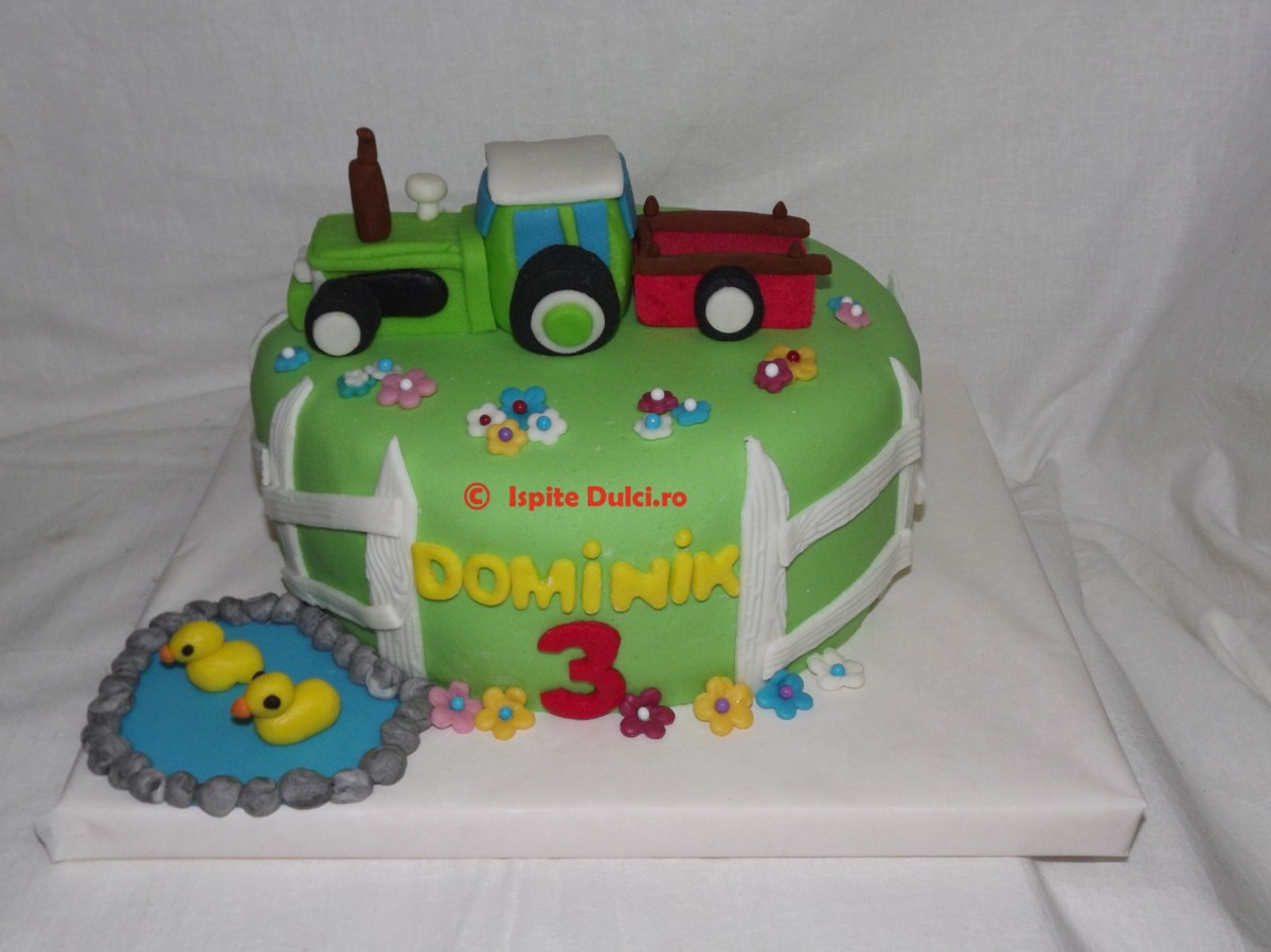Tort cu tractoras pentru Dominik