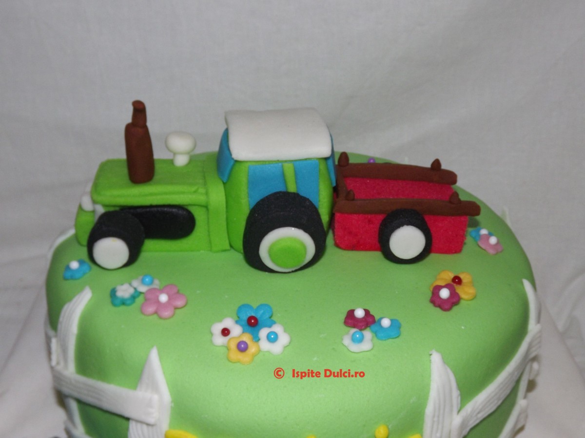 Tort cu tractoras pentru Dominik