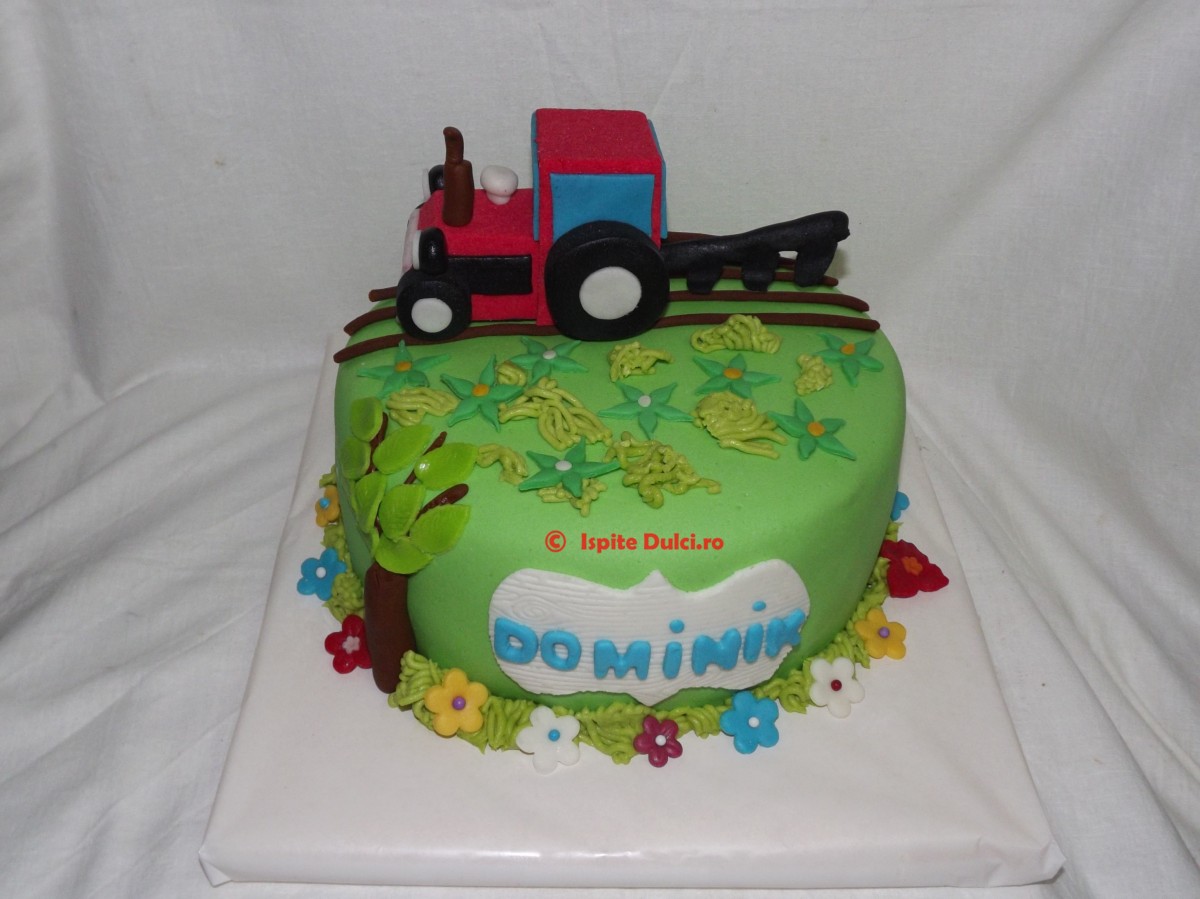 Tort cu tractoras pentru Dominik