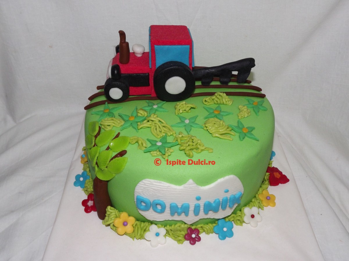 Tort cu tractoras pentru Dominik