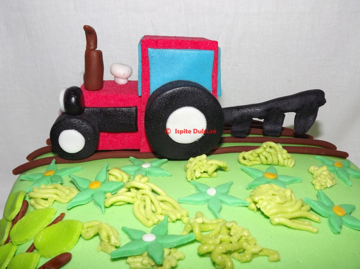 Tort cu tractoras pentru Dominik