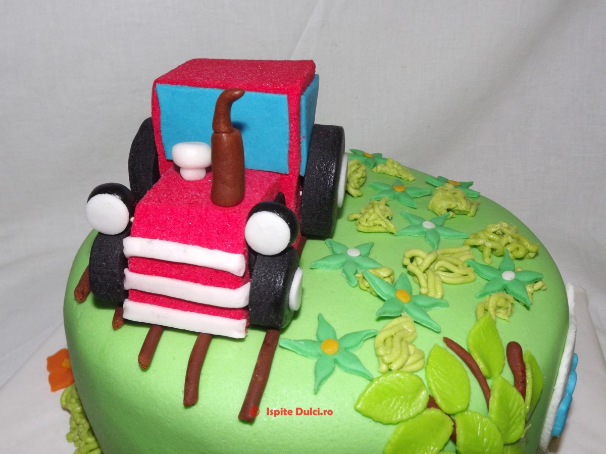 Tort cu tractoras pentru Dominik