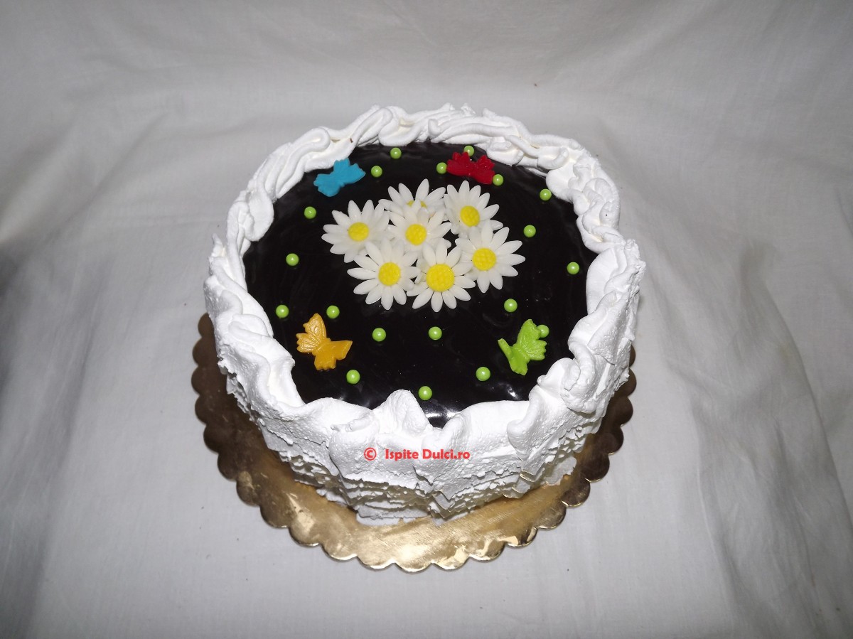 Tort pentru Andra