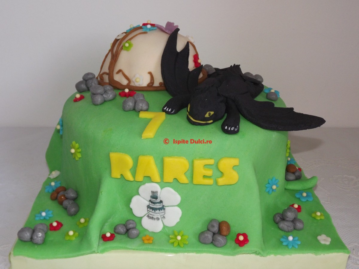Tort Night Fury pentru Rares