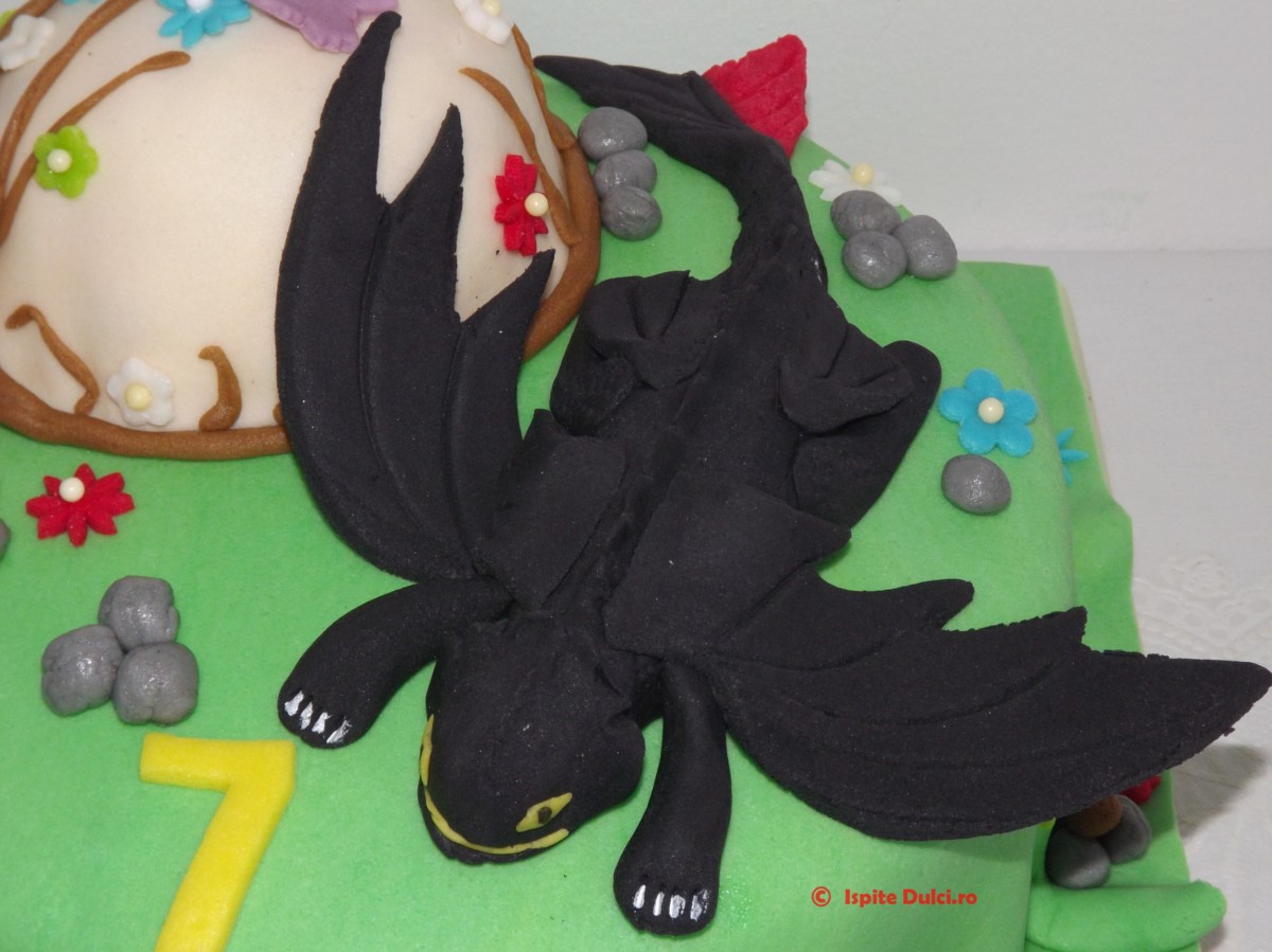 Tort Night Fury pentru Rares