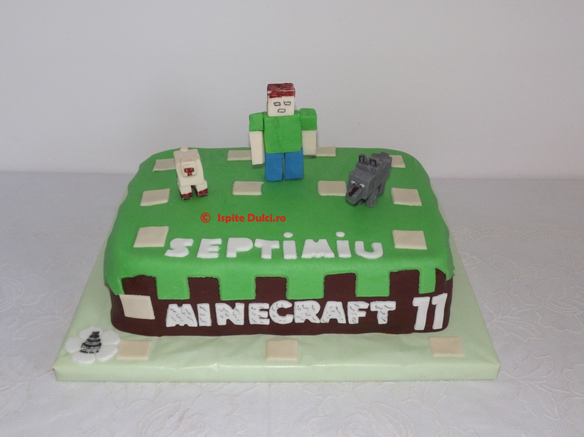 Tort Minecraft pt Septimiu