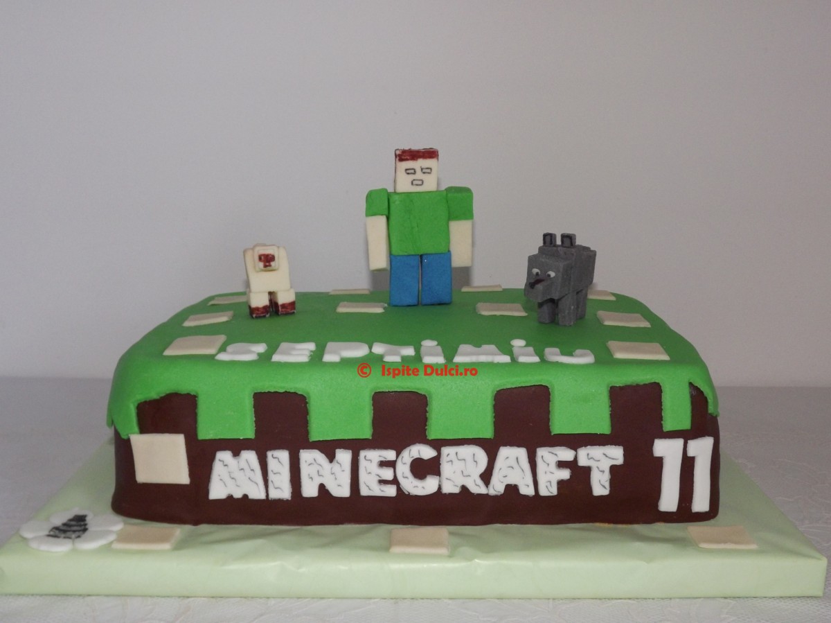 Tort Minecraft pt Septimiu