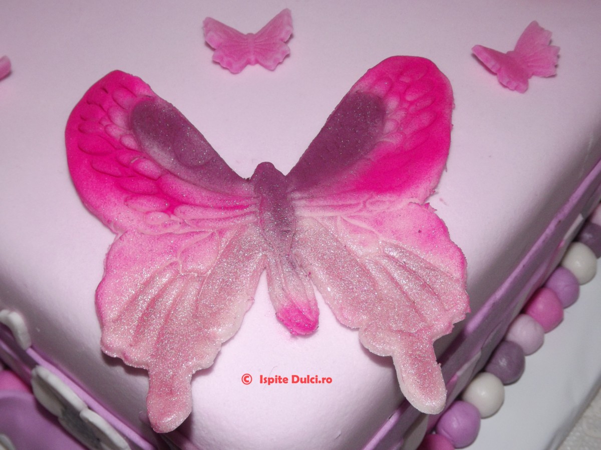 Tort cutie pentru Denisa