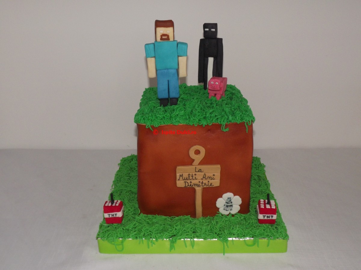 Minecraft pt Dimitrie