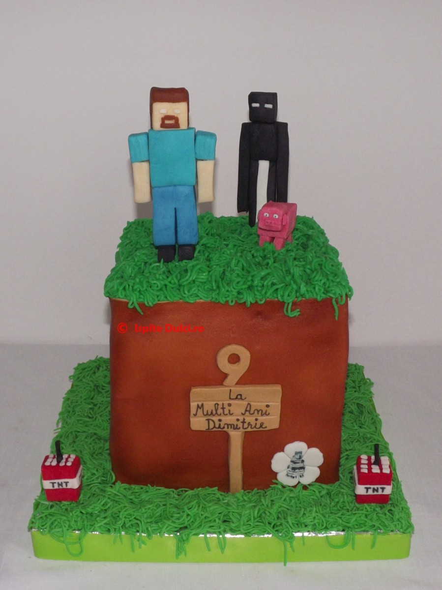 Minecraft pt Dimitrie