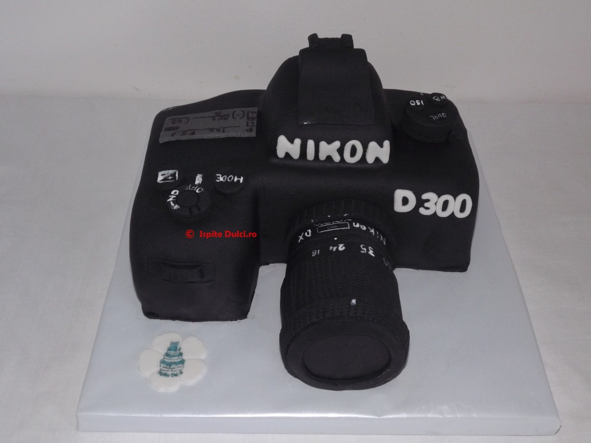 Tort Nikon D300