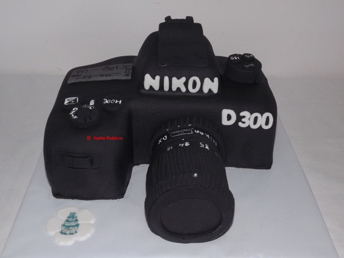 Tort Nikon D300