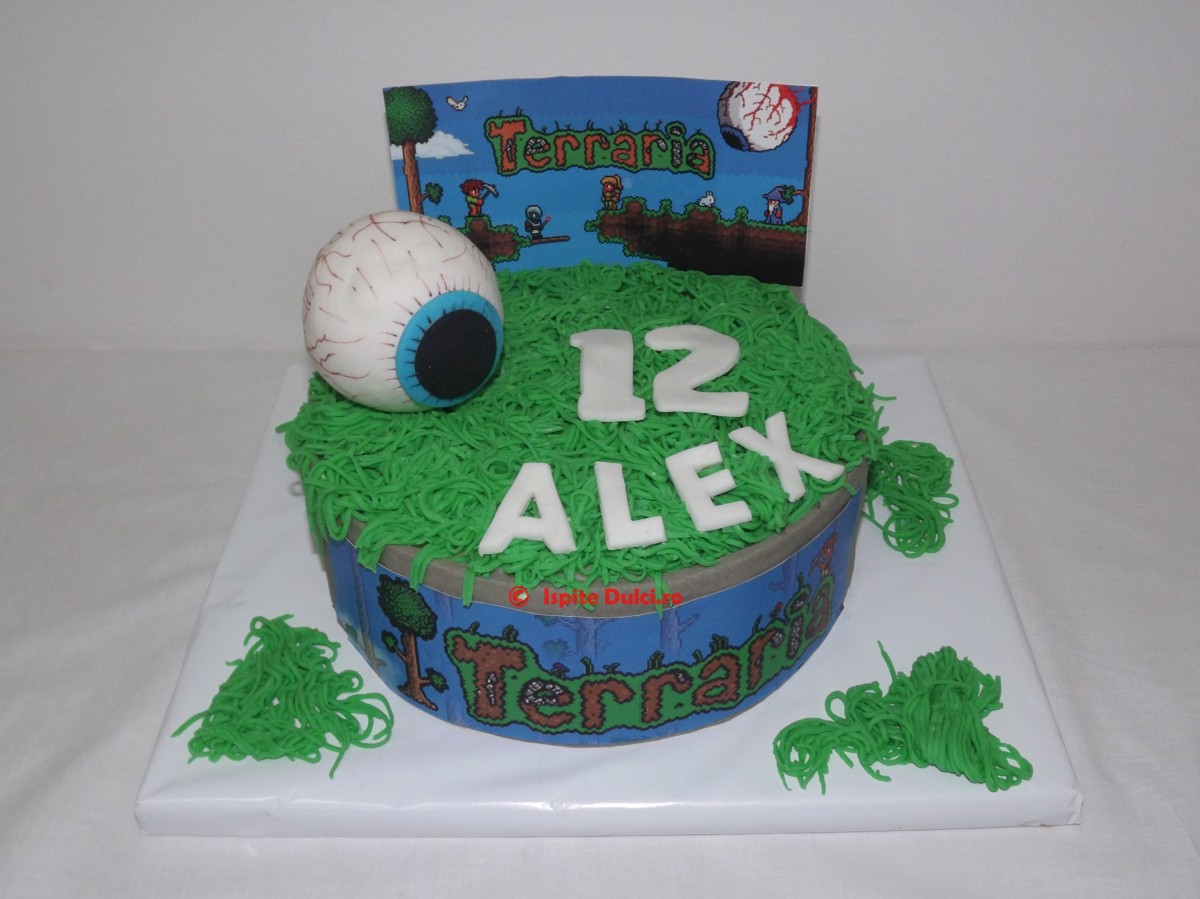 Tort Terraria pentru Alex