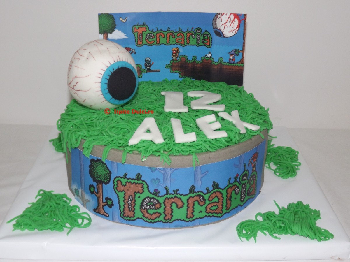 Tort Terraria pentru Alex