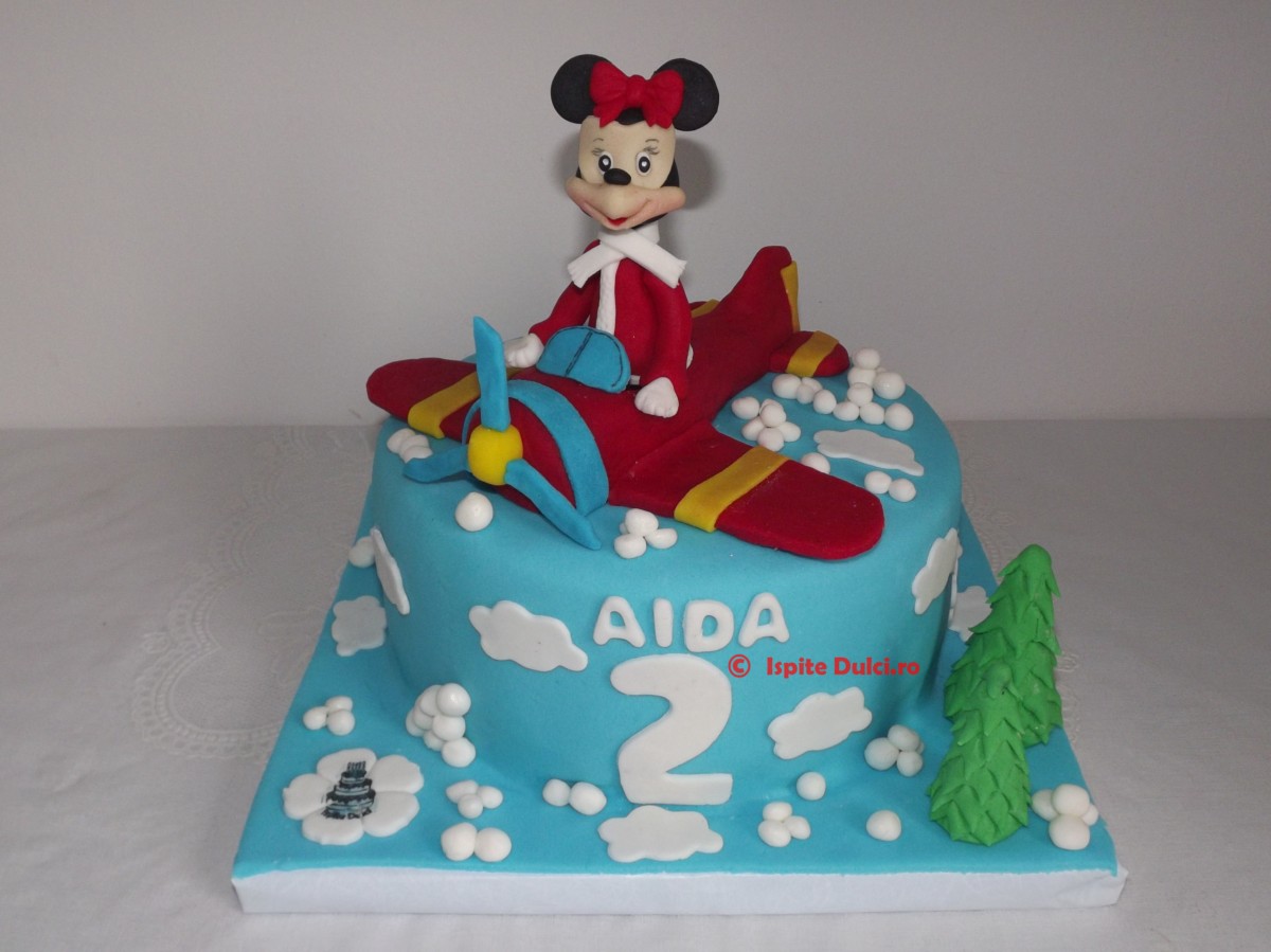 Tort cu Minnie si avion pt Aida