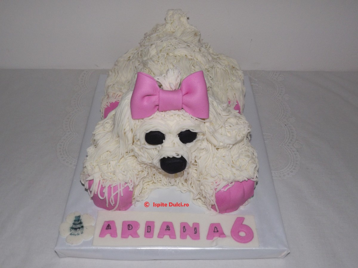 Tort bichon pentru Ariana