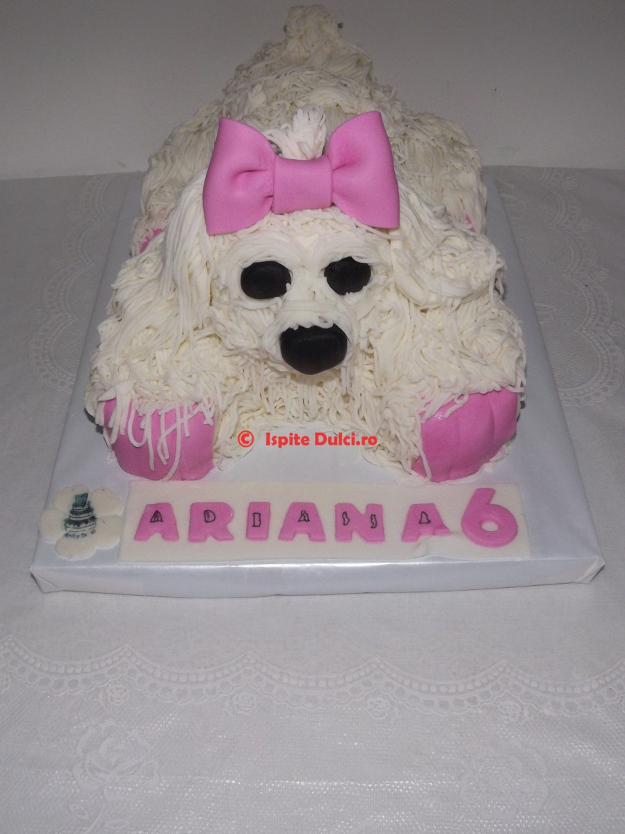 Tort bichon pentru Ariana