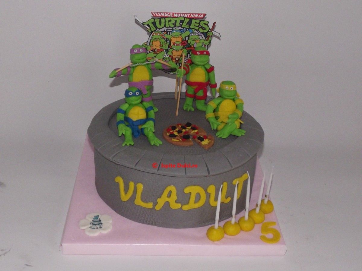 Tort testoasele ninja pentru Vladut
