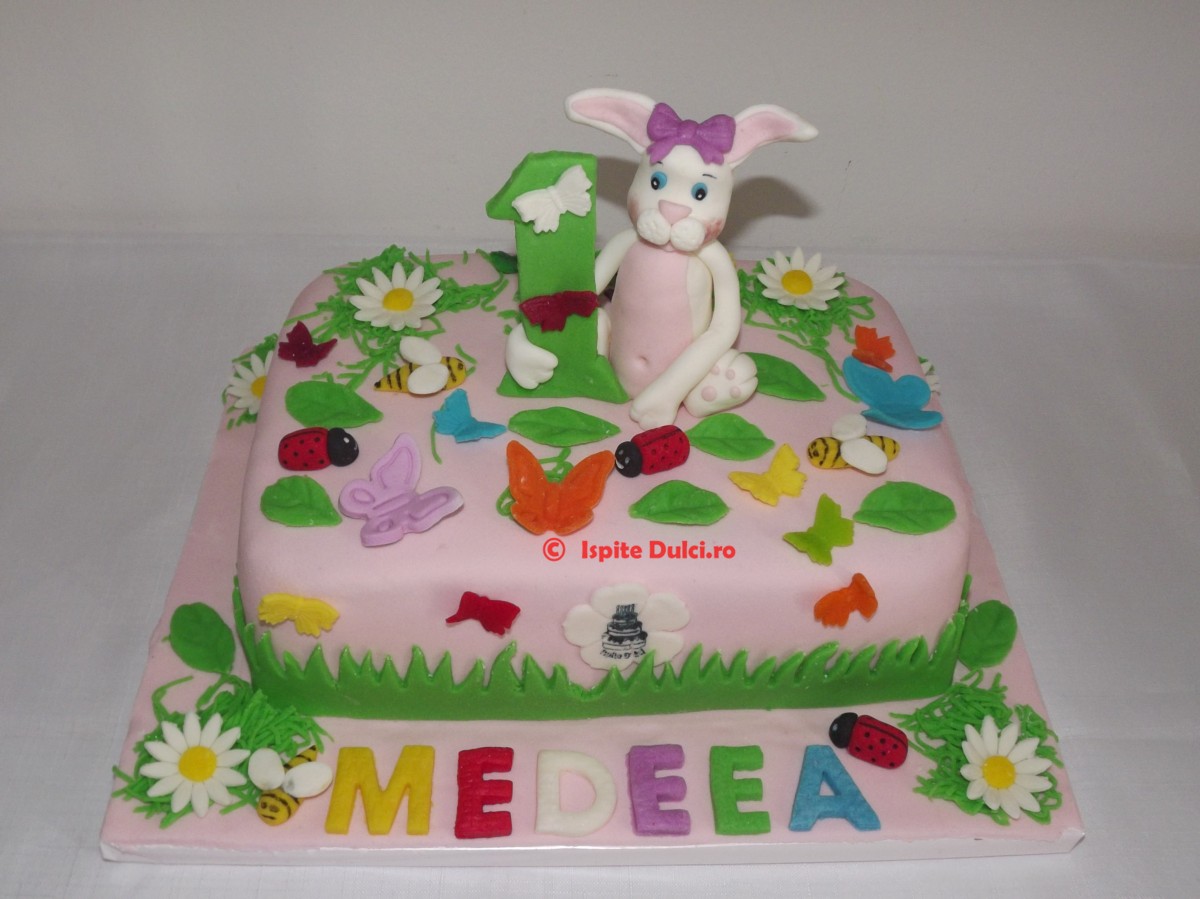 Tort cu iepuras pentru Medeea