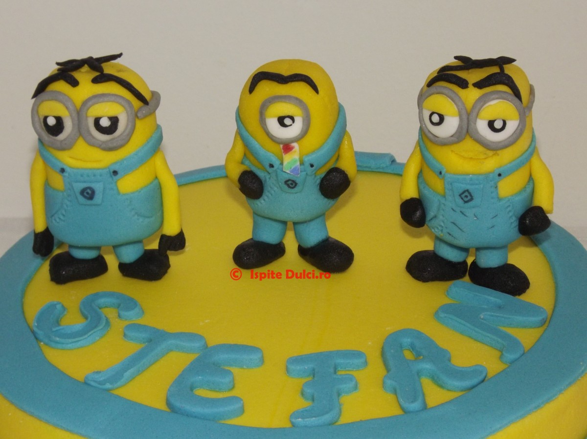 Tort Minions pentru Stefan