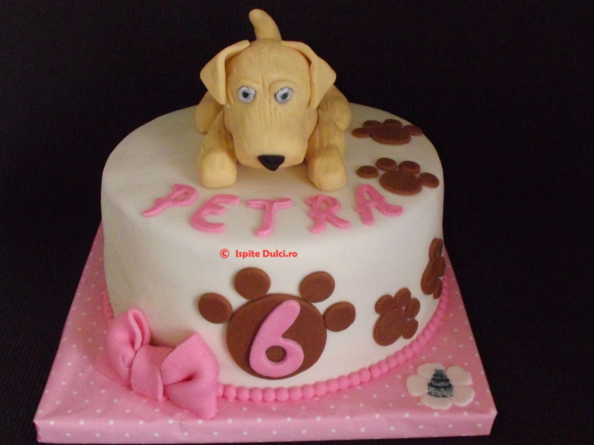 Tort labrador pentru Petra