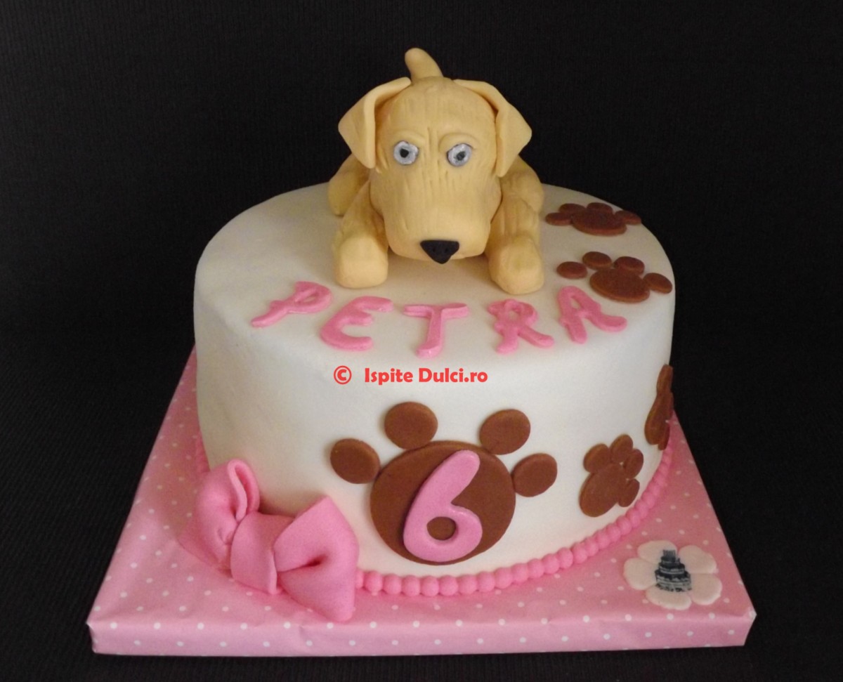Tort labrador pentru Petra