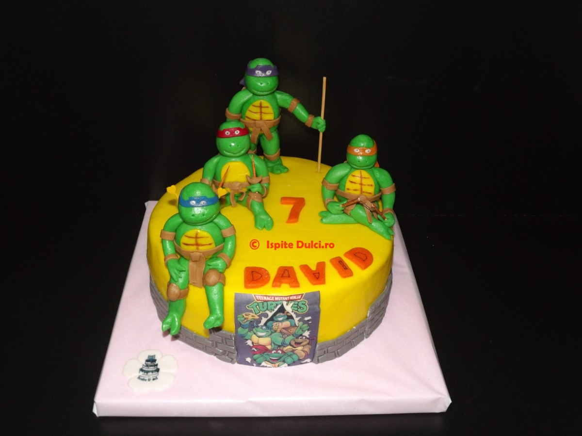 Tort testoasele ninja pt David