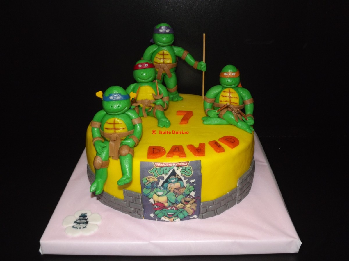 Tort testoasele ninja pt David