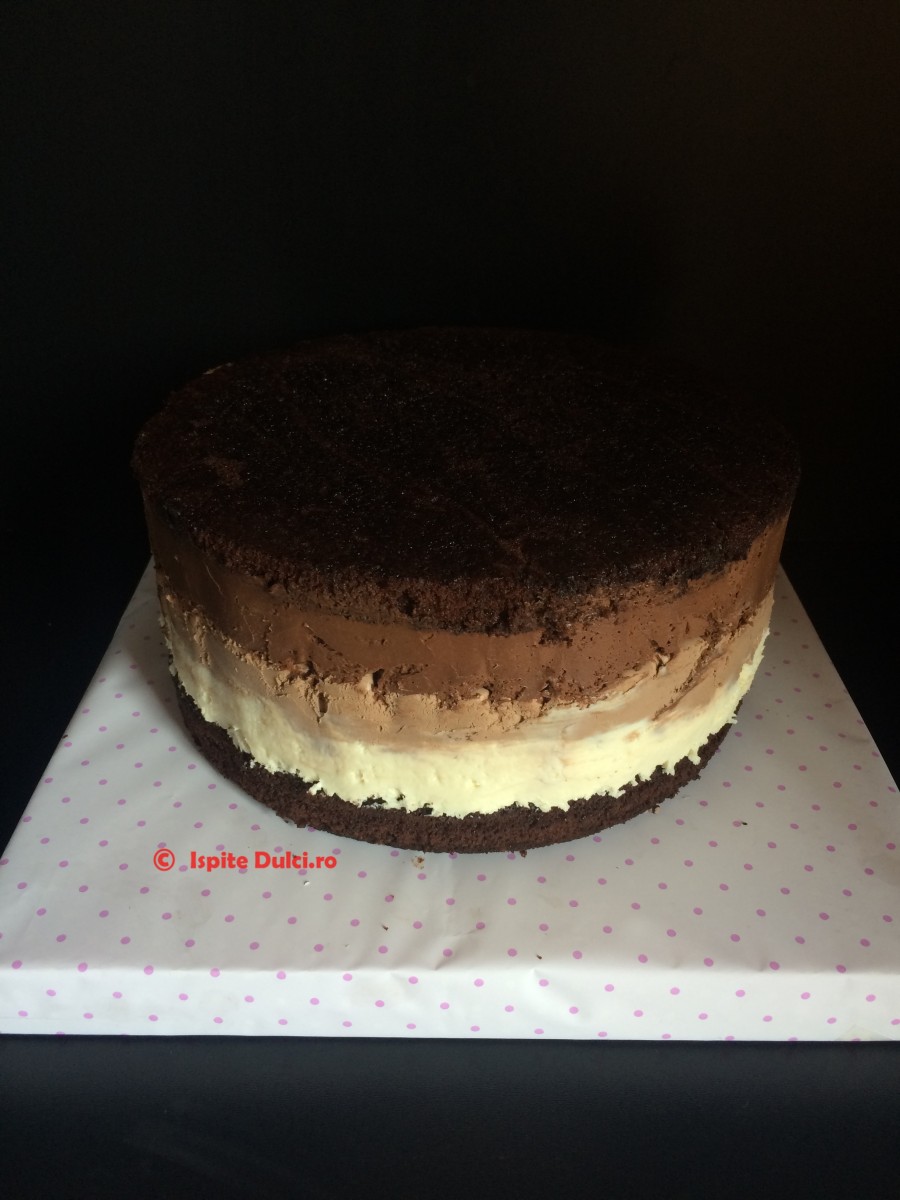 Tort mousse de ciocolata decorat in ciocolata pentru Denisa