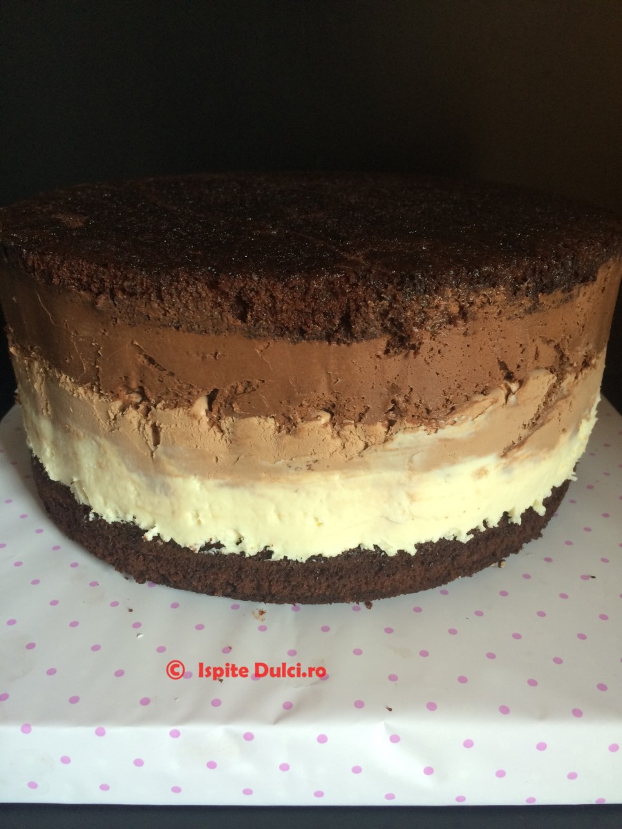 Tort mousse de ciocolata decorat in ciocolata pentru Denisa