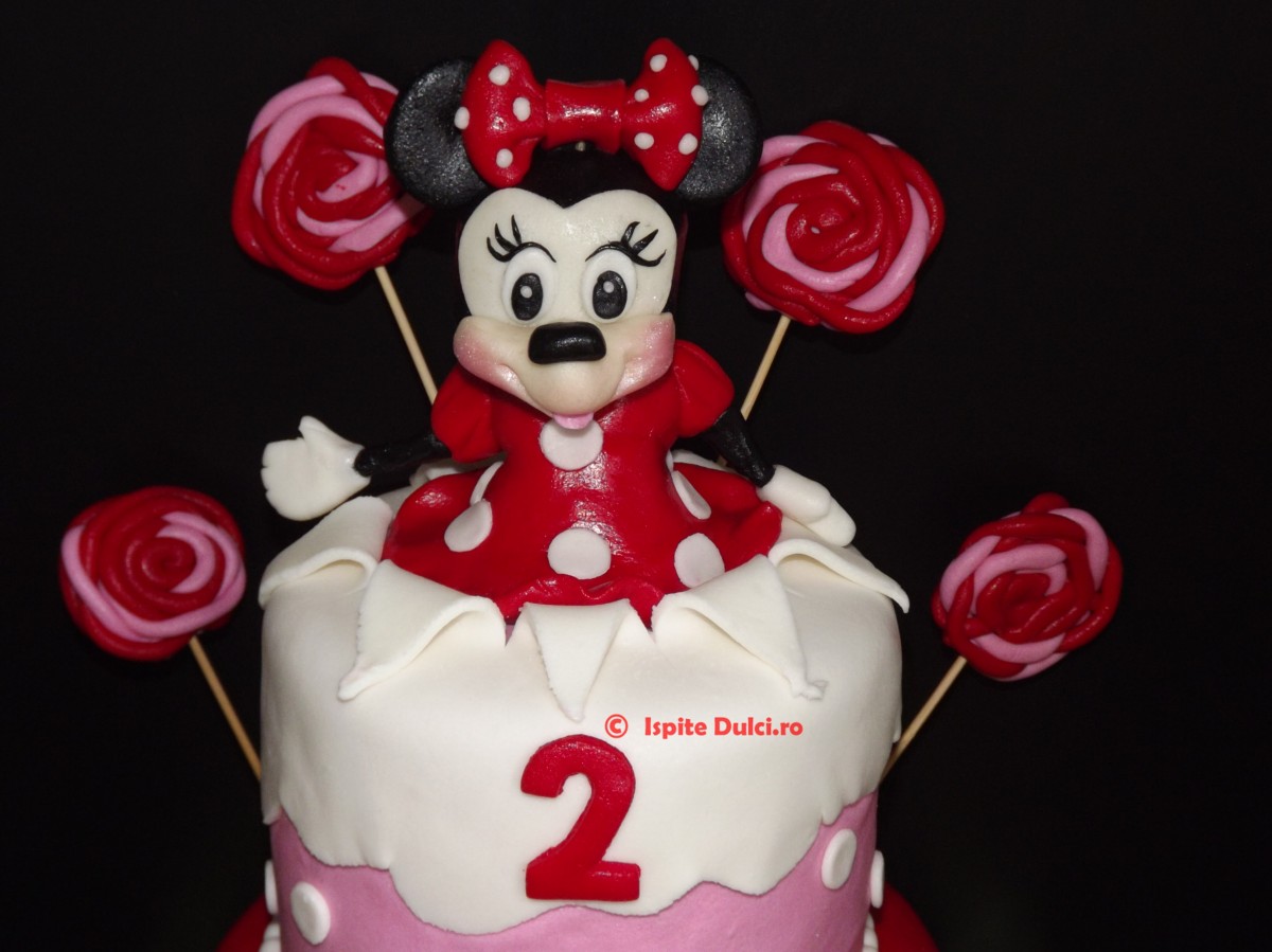 Tort cu Minnie pentru Sandra Maria