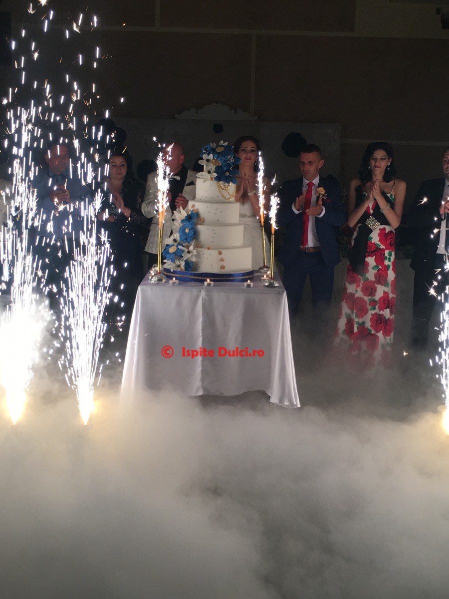 Tort de nunta Dana