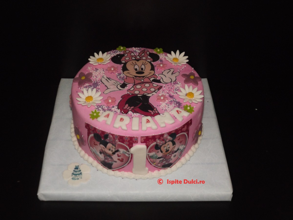 Torturi cu Mickey Mouse si Minnie Mouse