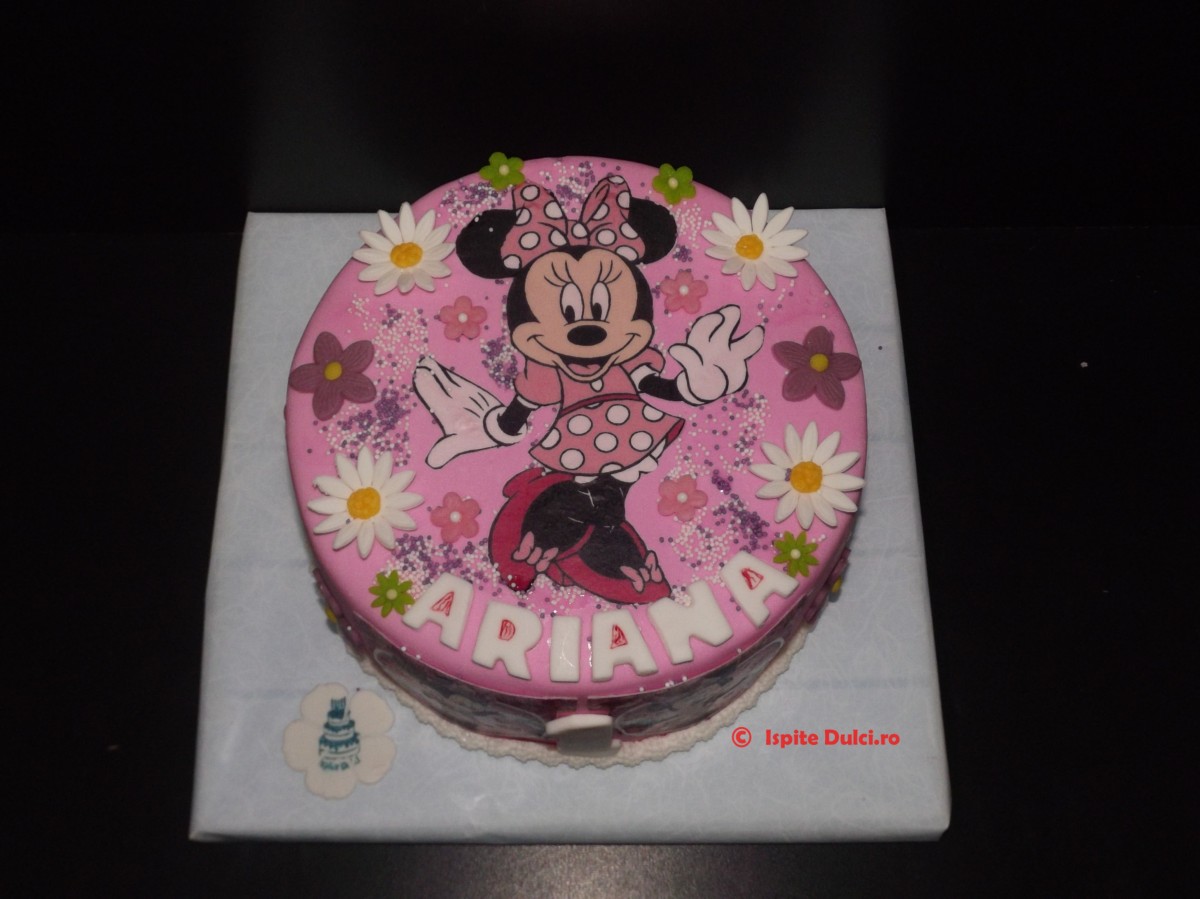 Torturi cu Mickey Mouse si Minnie Mouse