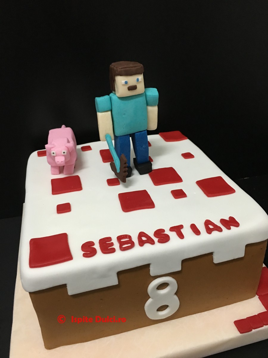 Tort Minecraft pentru Sebastian