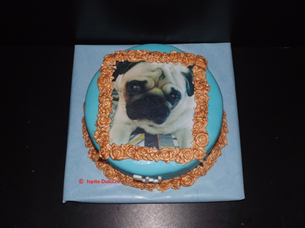 Tort cu poza catel