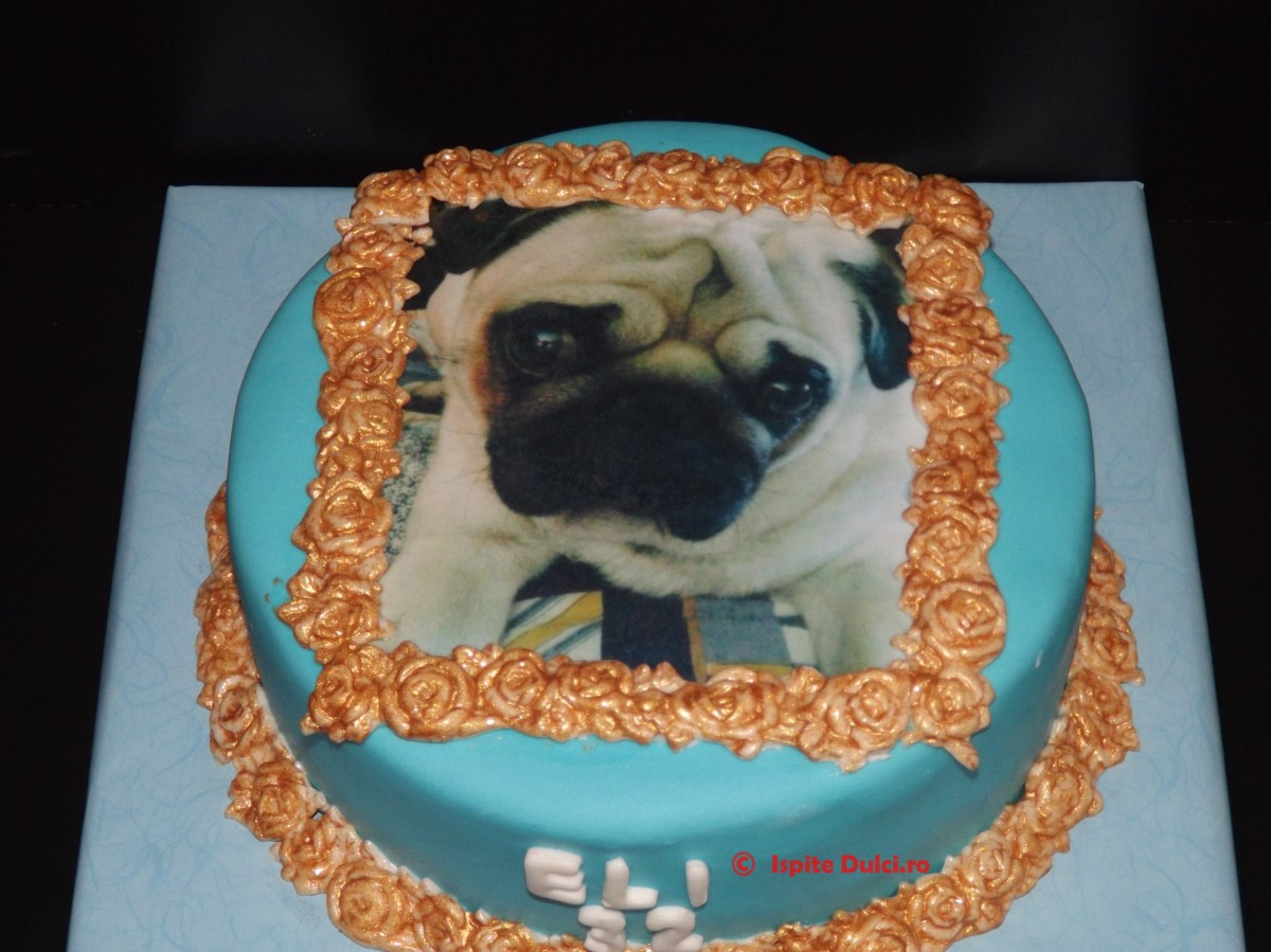 Tort cu poza catel