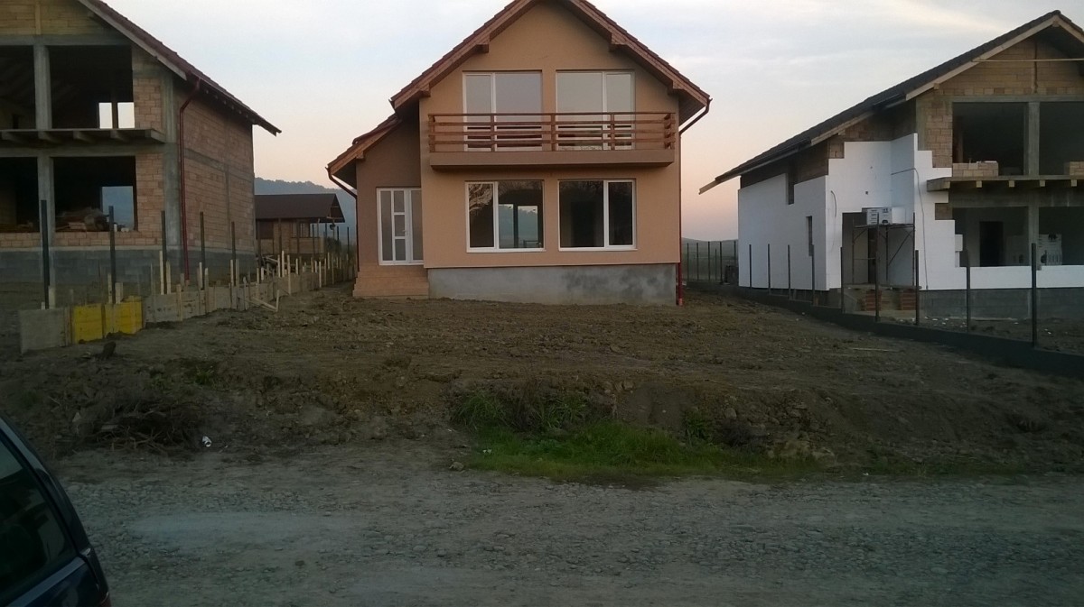 Tort casa pentru Alina